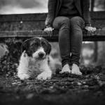 Jean-Baptiste PETER - JIB PETER PHOTOGRAPHE