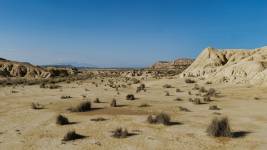 Noémy SMECICAS - SMECICAS NOEMY